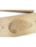 Japanese Vintage Wooden Kashigata(Sweets Mold), Spiny Lobster and Hard Clams