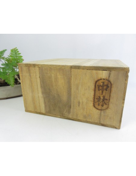Japanese Vintage First Aid Kit Box