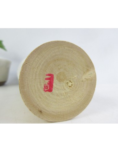 Creative Kokeshi Doll